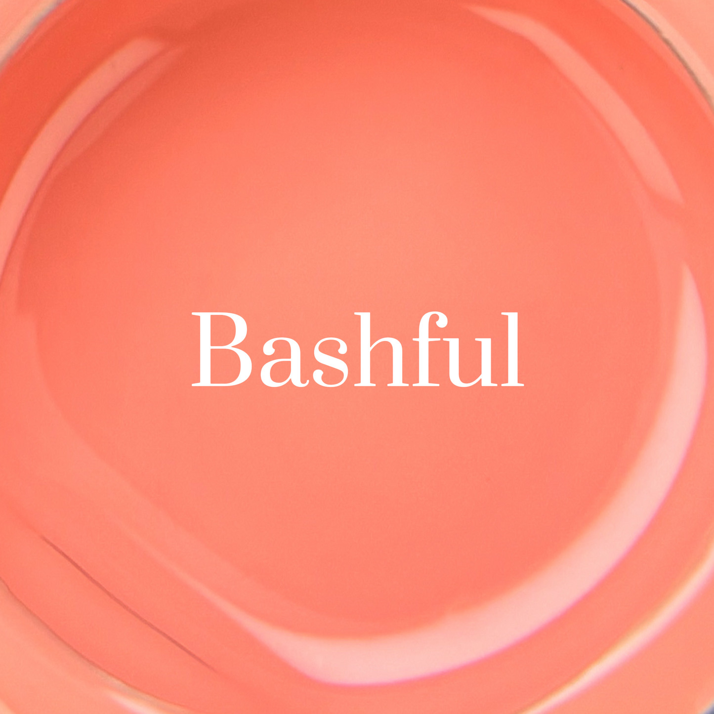 GEL PAINT- BASHFUL