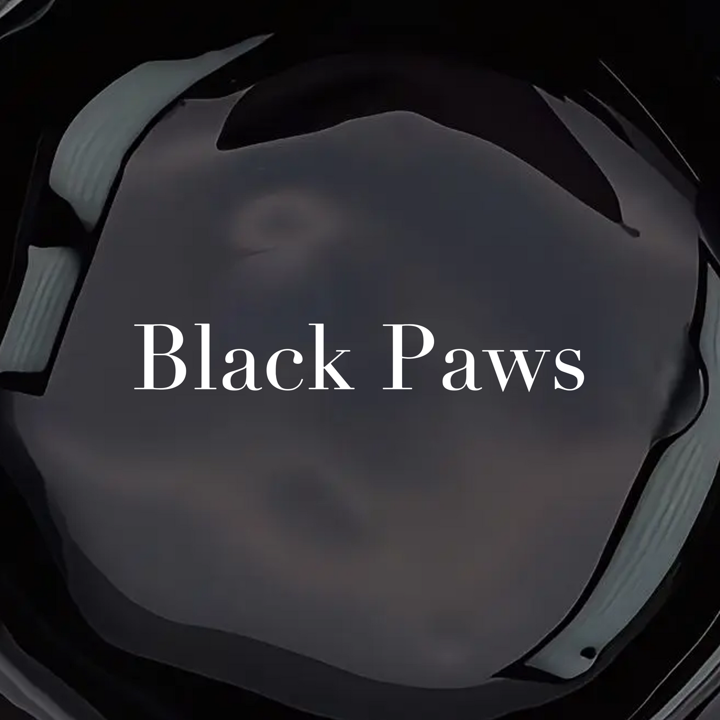GEL PAINT- BLACK PAWS