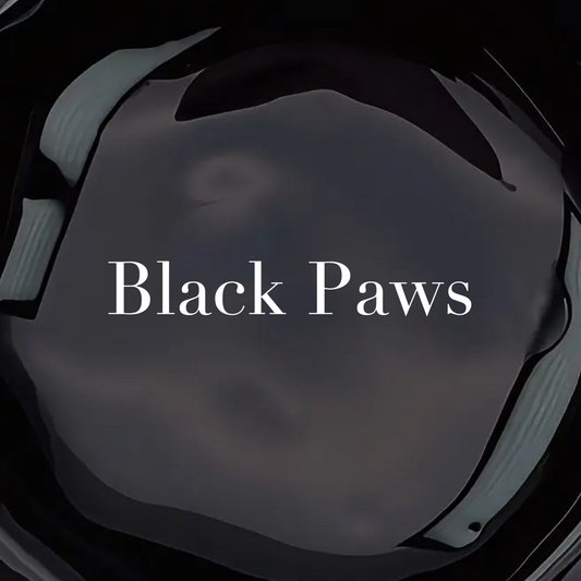 GEL PAINT- BLACK PAWS BIG POT!